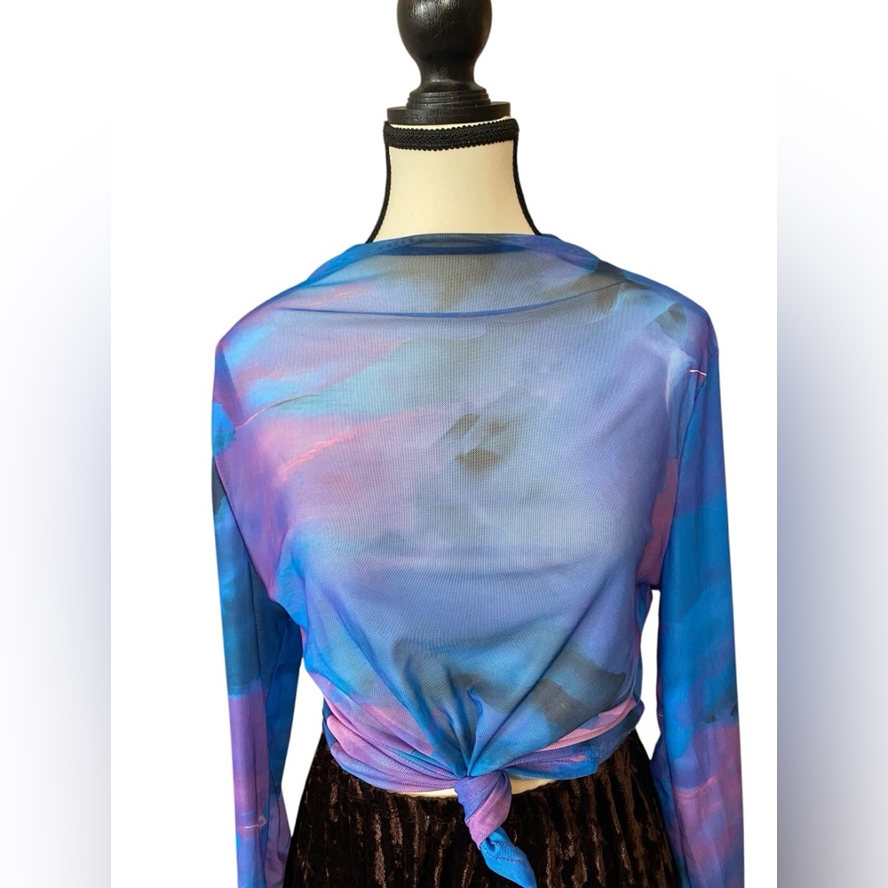 Sheer Mesh Long Sleeve Top in Blue-Purple Size XL EUC